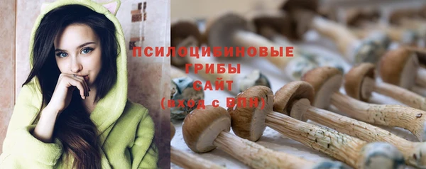 крисы Михайлов