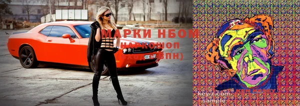крисы Михайлов