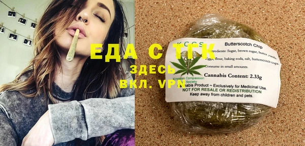 шишки Северская